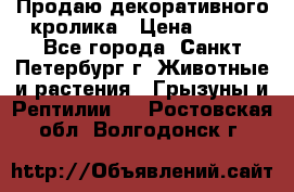 Продаю декоративного кролика › Цена ­ 500 - Все города, Санкт-Петербург г. Животные и растения » Грызуны и Рептилии   . Ростовская обл.,Волгодонск г.